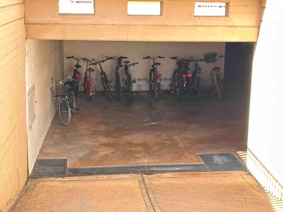 Apartamento Il Cedro *